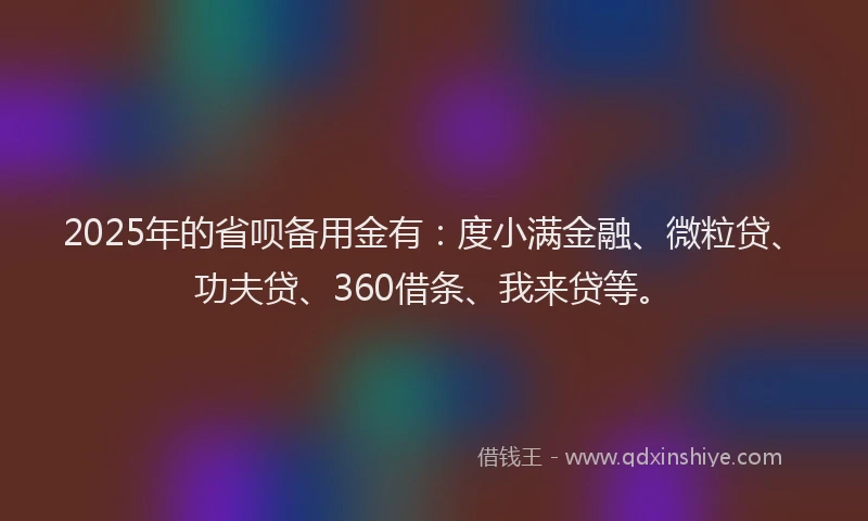 2025年的省呗备用金有：度小满金融、微粒贷、功夫贷、360借条、我来贷等。