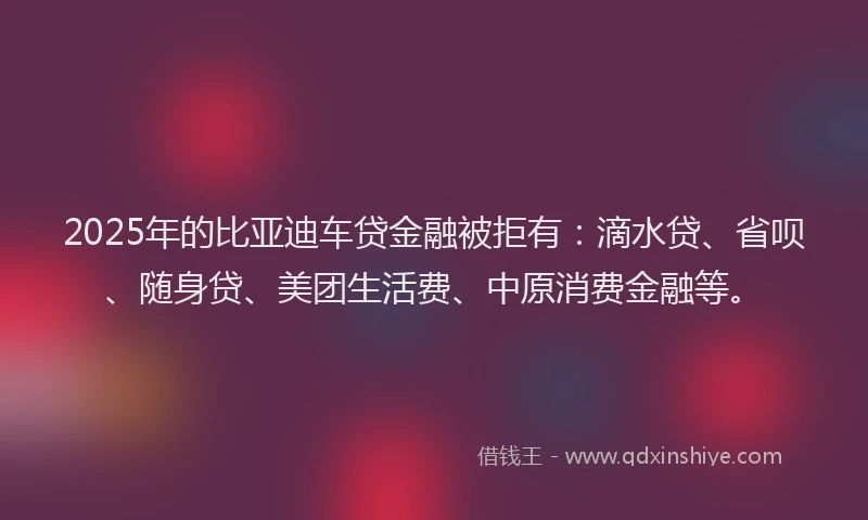 2025年的比亚迪车贷金融被拒有：滴水贷、省呗、随身贷、美团生活费、中原消费金融等。