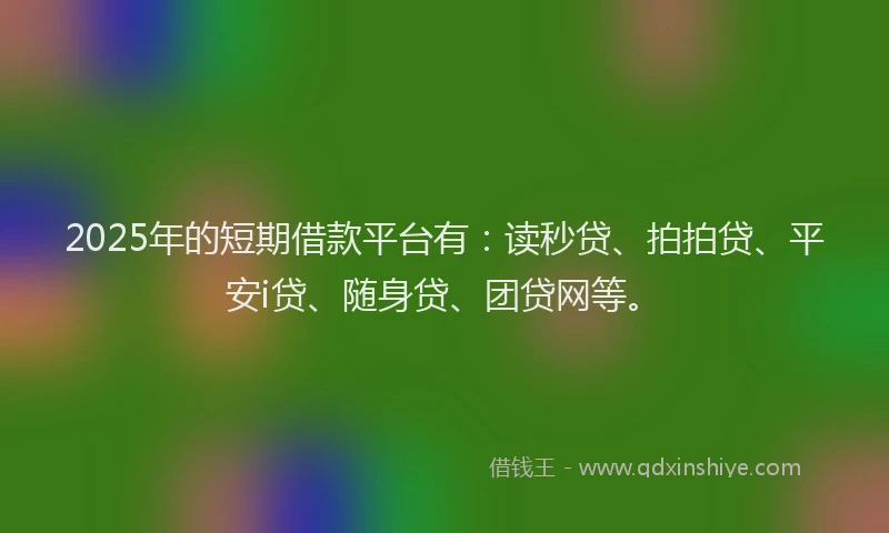 2025年的短期借款平台有：读秒贷、拍拍贷、平安i贷、随身贷、团贷网等。