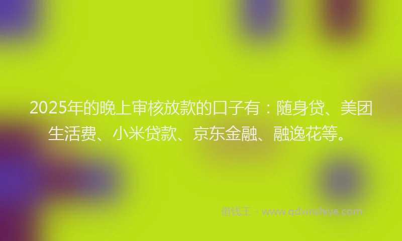 2025年的晚上审核放款的口子有：随身贷、美团生活费、小米贷款、京东金融、融逸花等。