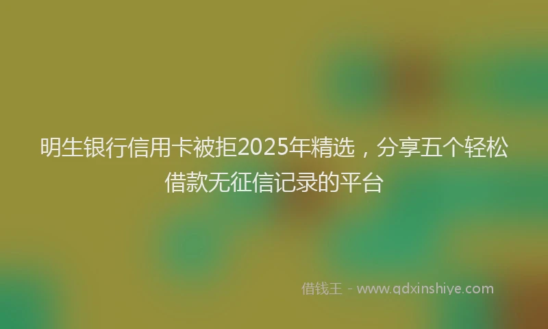 明生银行信用卡被拒2025年精选，分享五个轻松借款无征信记录的平台