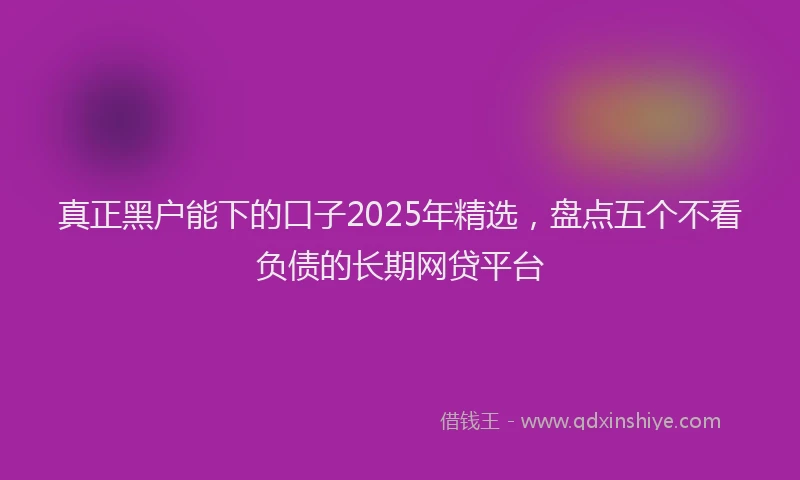 真正黑户能下的口子2025年精选，盘点五个不看负债的长期网贷平台