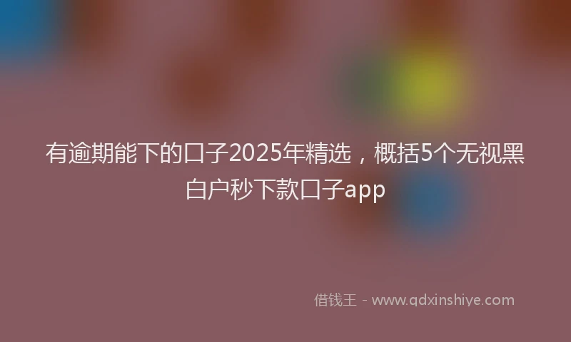 有逾期能下的口子2025年精选，概括5个无视黑白户秒下款口子app