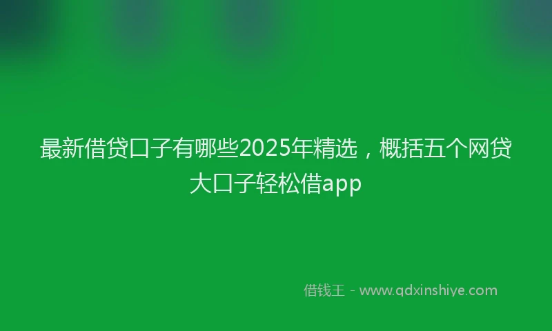 最新借贷口子有哪些2025年精选，概括五个网贷大口子轻松借app
