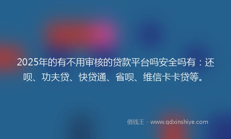 2025年的有不用审核的贷款平台吗安全吗有：还呗、功夫贷、快贷通、省呗、维信卡卡贷等。