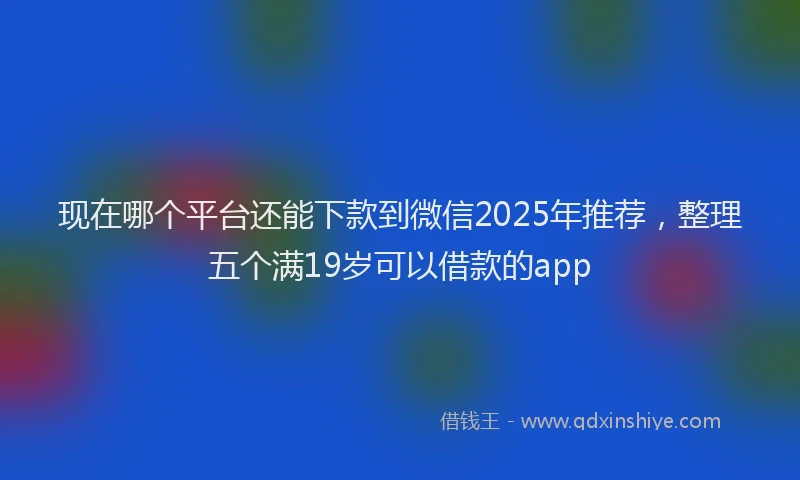 现在哪个平台还能下款到微信2025年推荐，整理五个满19岁可以借款的app