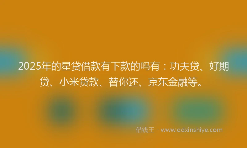 2025年的星贷借款有下款的吗有：功夫贷、好期贷、小米贷款、替你还、京东金融等。