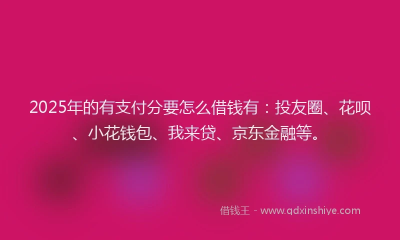 2025年的有支付分要怎么借钱有：投友圈、花呗、小花钱包、我来贷、京东金融等。