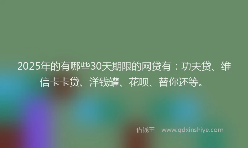 2025年的有哪些30天期限的网贷有：功夫贷、维信卡卡贷、洋钱罐、花呗、替你还等。