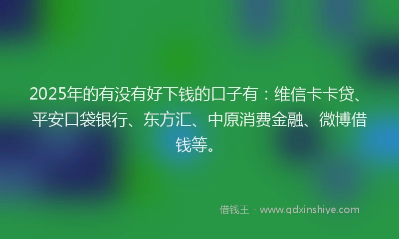 2025年的有没有好下钱的口子有：维信卡卡贷、平安口袋银行、东方汇、中原消费金融、微博借钱等。