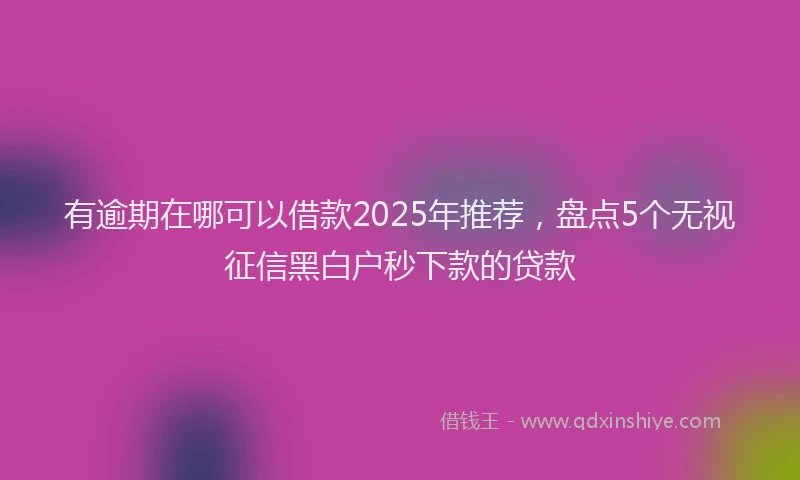 有逾期在哪可以借款2025年推荐，盘点5个无视征信黑白户秒下款的贷款