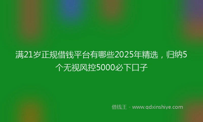 满21岁正规借钱平台有哪些2025年精选，归纳5个无视风控5000必下口子
