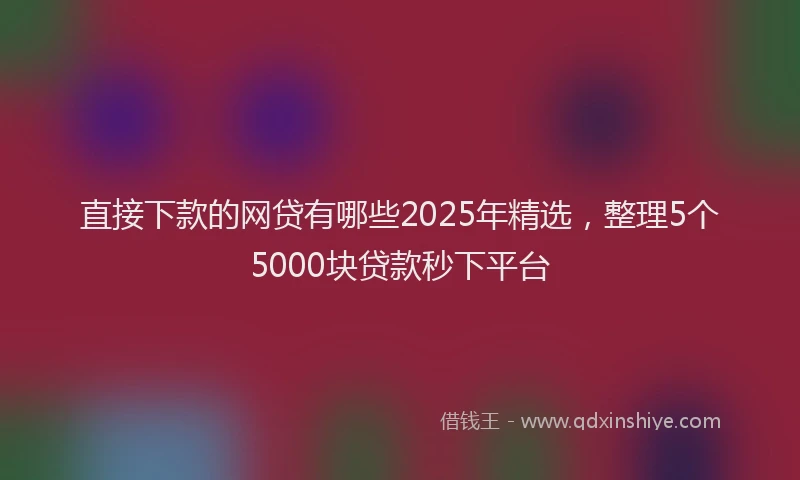 直接下款的网贷有哪些2025年精选，整理5个5000块贷款秒下平台