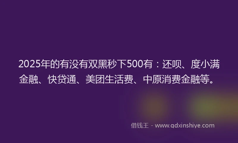 2025年的有没有双黑秒下500有：还呗、度小满金融、快贷通、美团生活费、中原消费金融等。