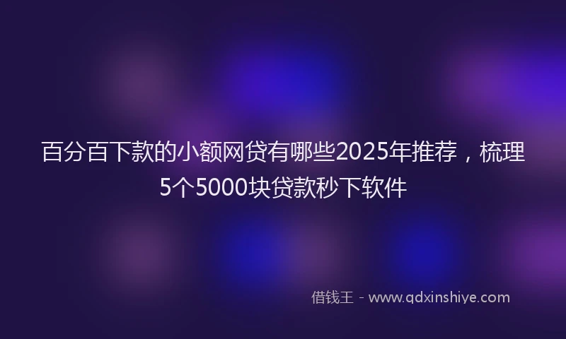 百分百下款的小额网贷有哪些2025年推荐，梳理5个5000块贷款秒下软件