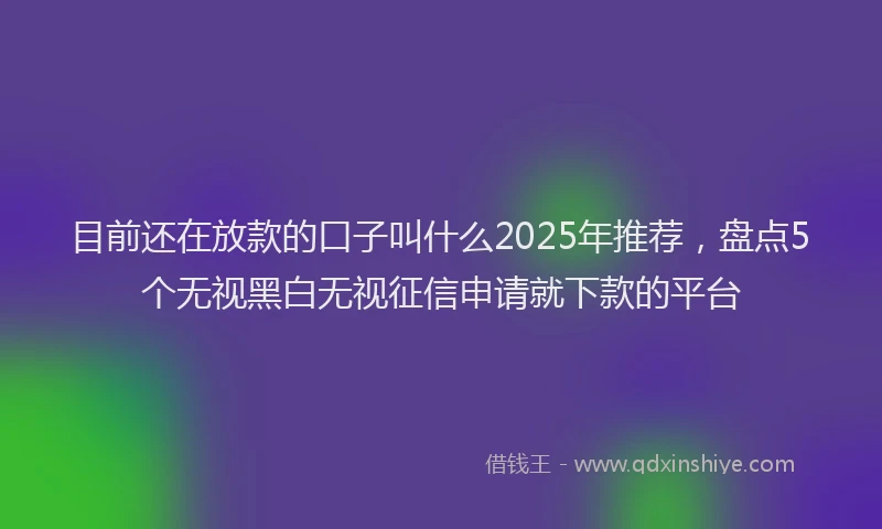 目前还在放款的口子叫什么2025年推荐，盘点5个无视黑白无视征信申请就下款的平台
