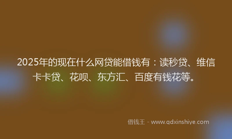 2025年的现在什么网贷能借钱有：读秒贷、维信卡卡贷、花呗、东方汇、百度有钱花等。
