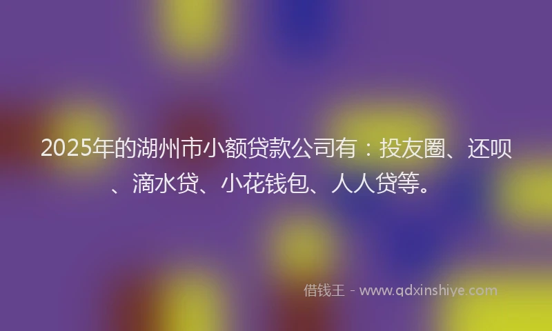 2025年的湖州市小额贷款公司有：投友圈、还呗、滴水贷、小花钱包、人人贷等。