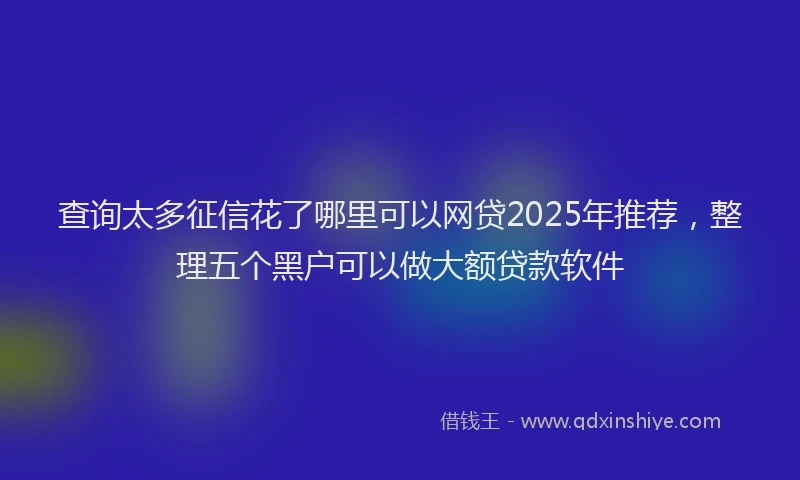查询太多征信花了哪里可以网贷2025年推荐，整理五个黑户可以做大额贷款软件