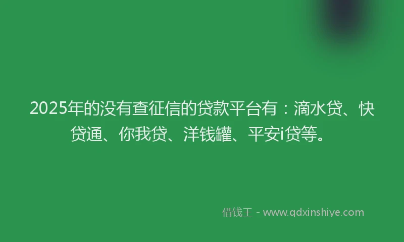 2025年的没有查征信的贷款平台有：滴水贷、快贷通、你我贷、洋钱罐、平安i贷等。