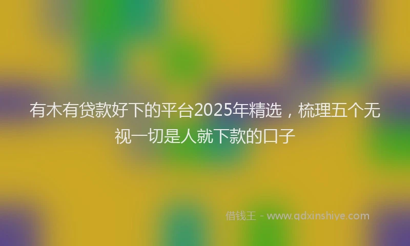 有木有贷款好下的平台2025年精选，梳理五个无视一切是人就下款的口子