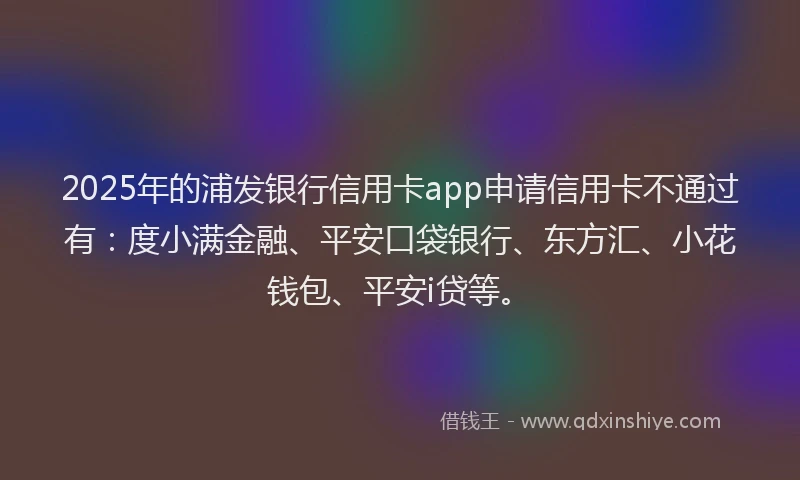 2025年的浦发银行信用卡app申请信用卡不通过有：度小满金融、平安口袋银行、东方汇、小花钱包、平安i贷等。