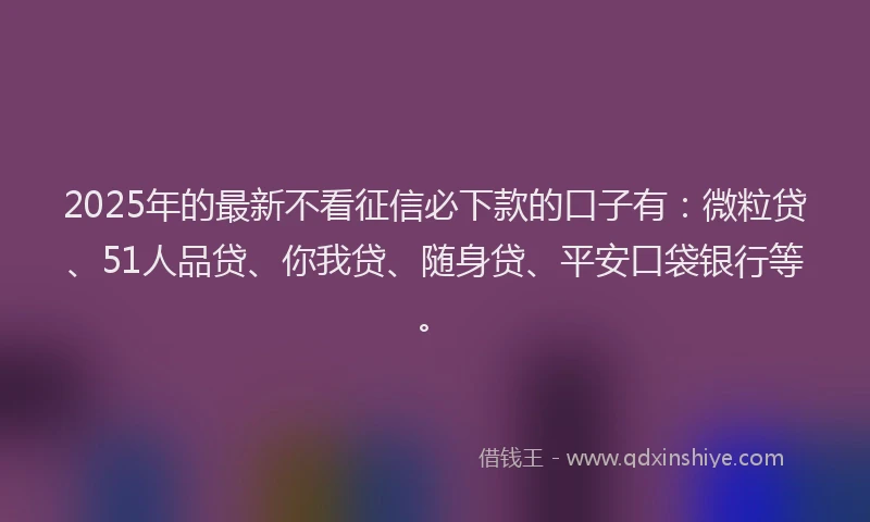2025年的最新不看征信必下款的口子有：微粒贷、51人品贷、你我贷、随身贷、平安口袋银行等。