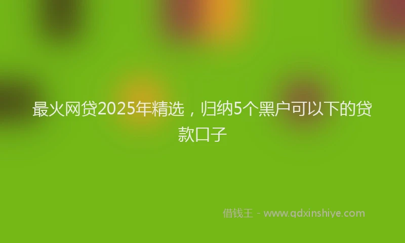 最火网贷2025年精选，归纳5个黑户可以下的贷款口子