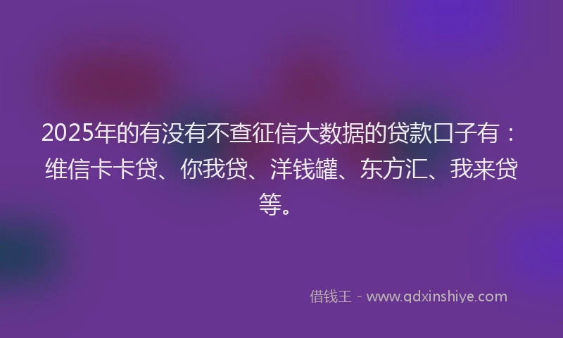 2025年的有没有不查征信大数据的贷款口子有：维信卡卡贷、你我贷、洋钱罐、东方汇、我来贷等。