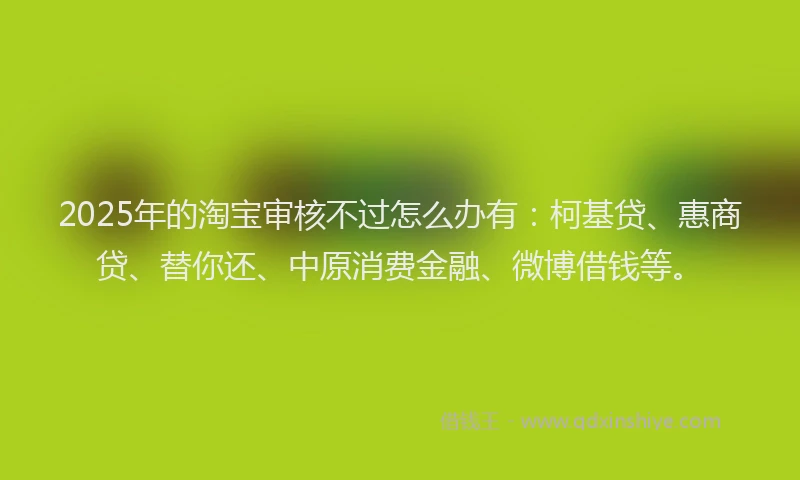 2025年的淘宝审核不过怎么办有：柯基贷、惠商贷、替你还、中原消费金融、微博借钱等。