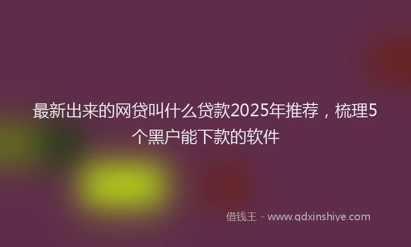 最新出来的网贷叫什么贷款2025年推荐，梳理5个黑户能下款的软件