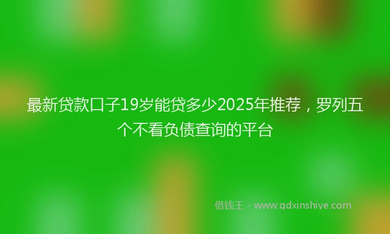 最新贷款口子19岁能贷多少2025年推荐，罗列五个不看负债查询的平台