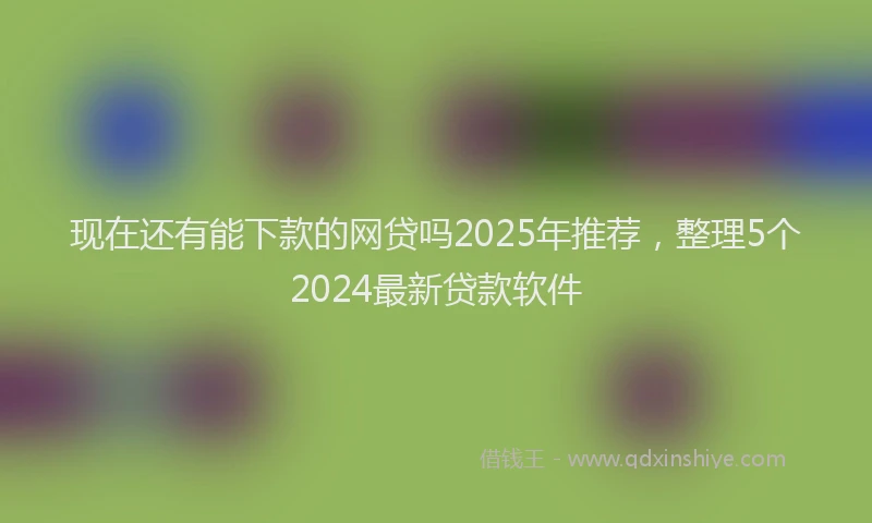 现在还有能下款的网贷吗2025年推荐，整理5个2024最新贷款软件