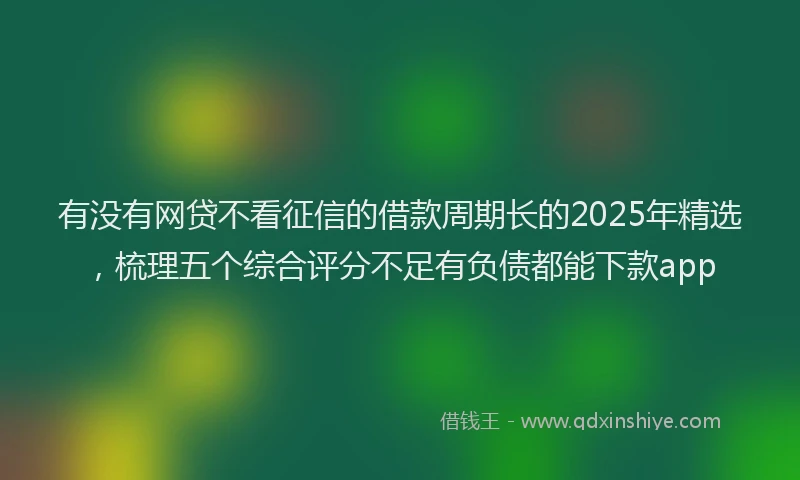 有没有网贷不看征信的借款周期长的2025年精选，梳理五个综合评分不足有负债都能下款app