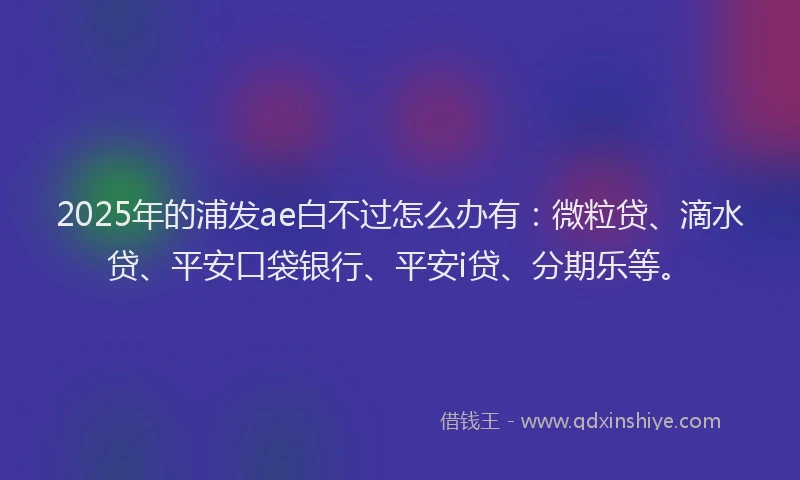 2025年的浦发ae白不过怎么办有：微粒贷、滴水贷、平安口袋银行、平安i贷、分期乐等。