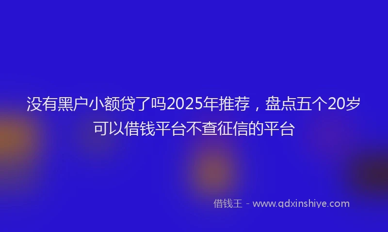 没有黑户小额贷了吗2025年推荐，盘点五个20岁可以借钱平台不查征信的平台