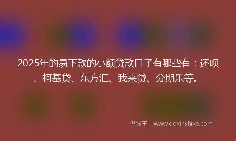 2025年的易下款的小额贷款口子有哪些有：还呗、柯基贷、东方汇、我来贷、分期乐等。