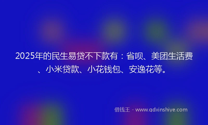 2025年的民生易贷不下款有：省呗、美团生活费、小米贷款、小花钱包、安逸花等。