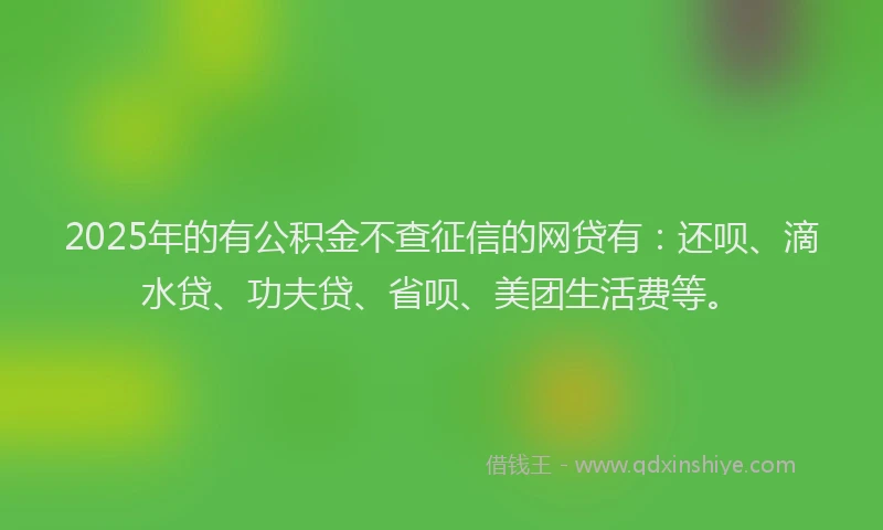 2025年的有公积金不查征信的网贷有：还呗、滴水贷、功夫贷、省呗、美团生活费等。