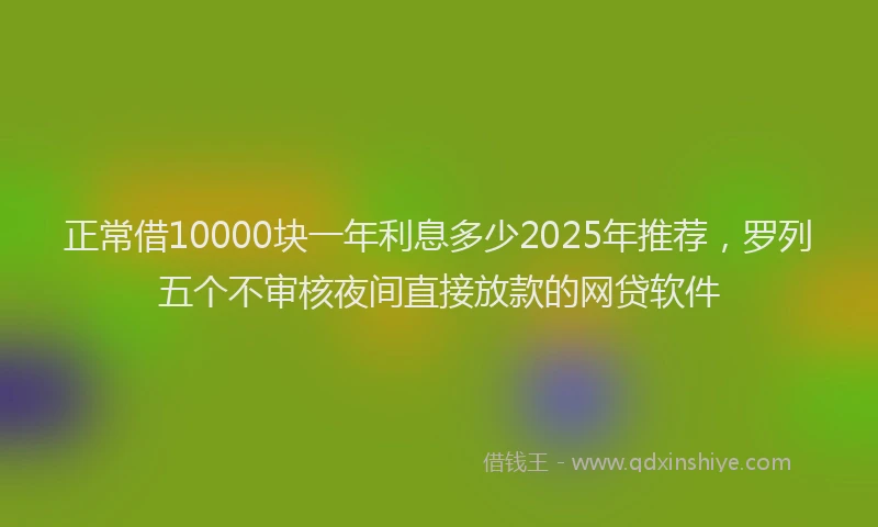 正常借10000块一年利息多少2025年推荐，罗列五个不审核夜间直接放款的网贷软件