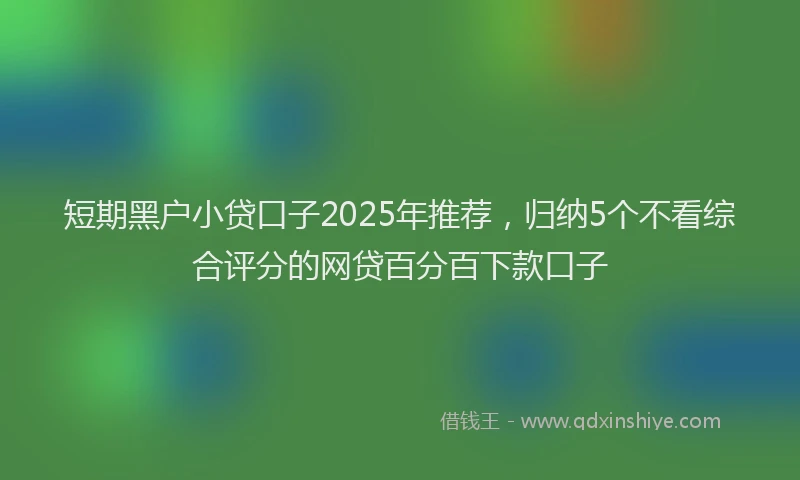 短期黑户小贷口子2025年推荐，归纳5个不看综合评分的网贷百分百下款口子