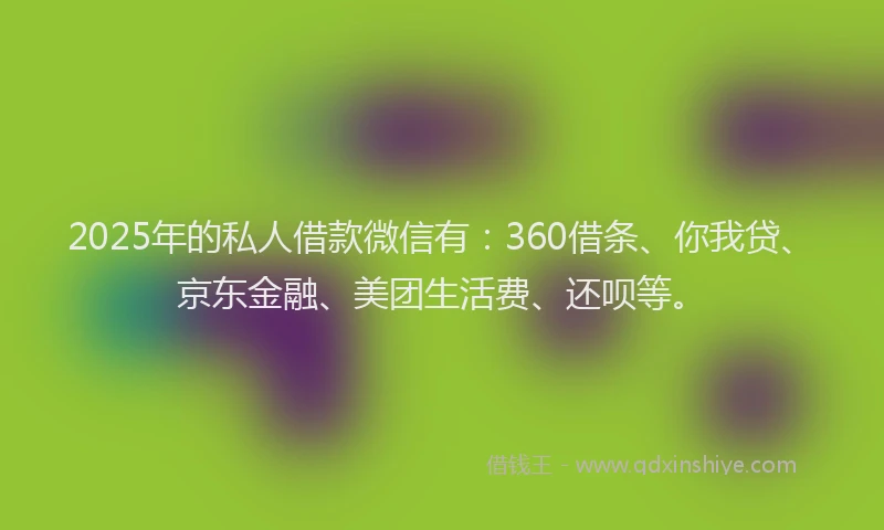 2025年的私人借款微信有：360借条、你我贷、京东金融、美团生活费、还呗等。