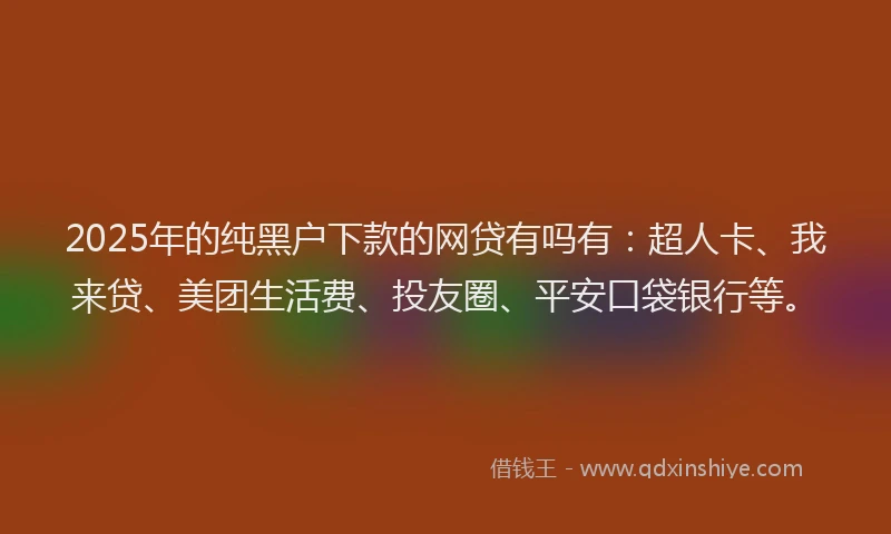 2025年的纯黑户下款的网贷有吗有：超人卡、我来贷、美团生活费、投友圈、平安口袋银行等。