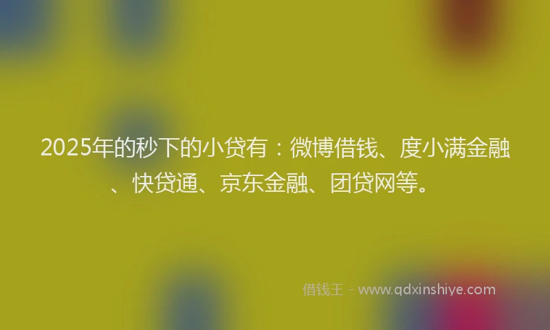 2025年的秒下的小贷有：微博借钱、度小满金融、快贷通、京东金融、团贷网等。