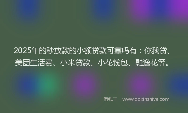 2025年的秒放款的小额贷款可靠吗有：你我贷、美团生活费、小米贷款、小花钱包、融逸花等。
