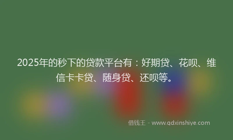 2025年的秒下的贷款平台有：好期贷、花呗、维信卡卡贷、随身贷、还呗等。