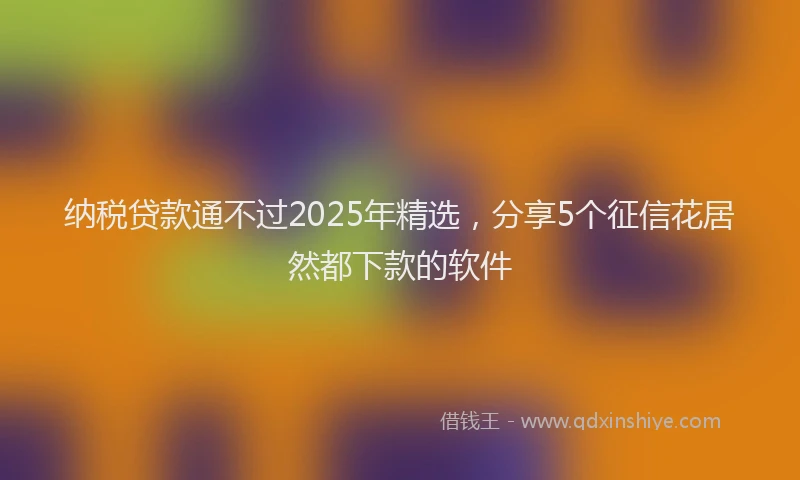 纳税贷款通不过2025年精选，分享5个征信花居然都下款的软件