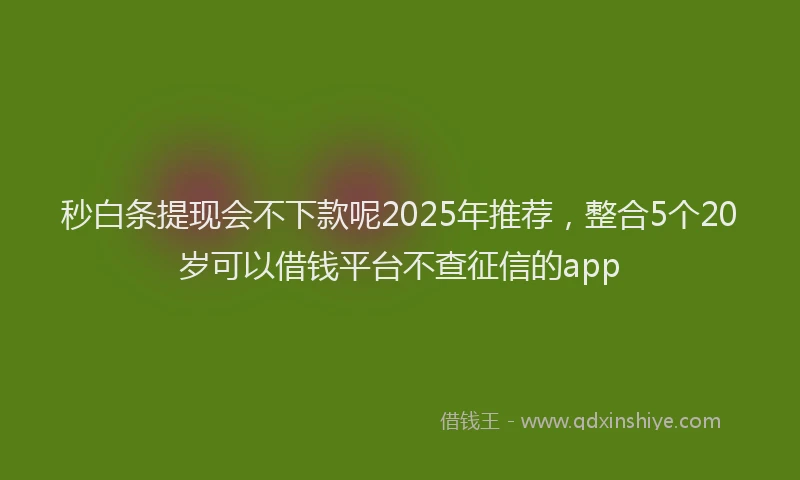 秒白条提现会不下款呢2025年推荐，整合5个20岁可以借钱平台不查征信的app