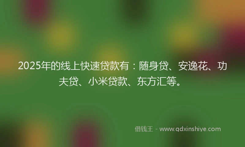 2025年的线上快速贷款有：随身贷、安逸花、功夫贷、小米贷款、东方汇等。