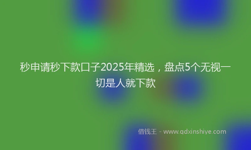 秒申请秒下款口子2025年精选，盘点5个无视一切是人就下款